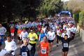 telethon_2656