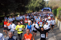 telethon_2657