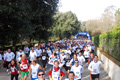 telethon_2660