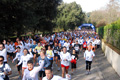telethon_2667