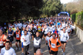telethon_2675