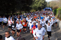 telethon_2677