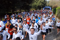 telethon_2681