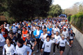 telethon_2686