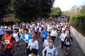 telethon_2688