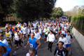telethon_2690