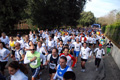 telethon_2694