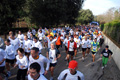 telethon_2698