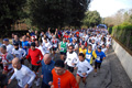 telethon_2716