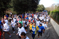 telethon_2718