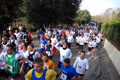 telethon_2720