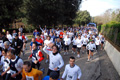 telethon_2721