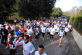 telethon_2722
