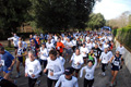 telethon_2725