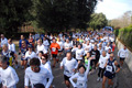 telethon_2726