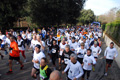 telethon_2729