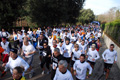 telethon_2730