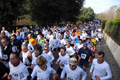telethon_2733