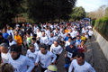 telethon_2734