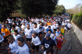 telethon_2735