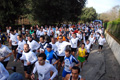 telethon_2736