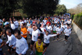 telethon_2739
