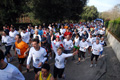 telethon_2740