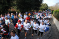 telethon_2742