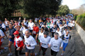 telethon_2743