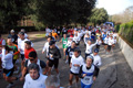 telethon_2745