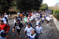telethon_2746