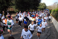 telethon_2754