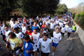 telethon_2759