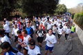 telethon_2760
