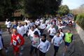 telethon_2764