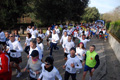 telethon_2765