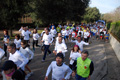 telethon_2766