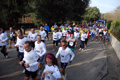telethon_2768
