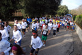 telethon_2769