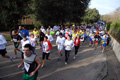 telethon_2772