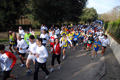 telethon_2775