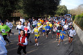 telethon_2777