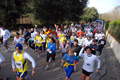 telethon_2780