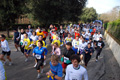 telethon_2781