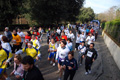 telethon_2783