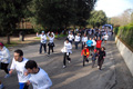 telethon_2788