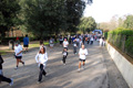 telethon_2794