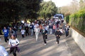 telethon_2799