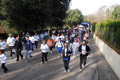 telethon_2801