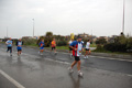 roma-ostia-coccia-1079